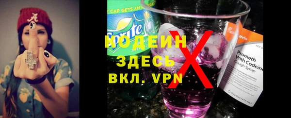 spice Бородино