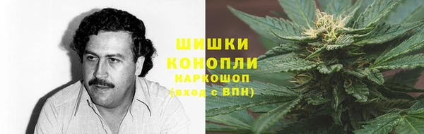 spice Бородино