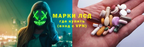 spice Бородино
