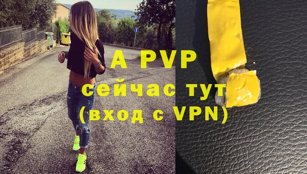 стафф Сосновый Бор