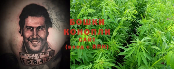 spice Бородино