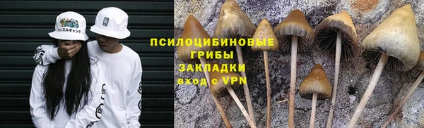 прущая мука Бронницы