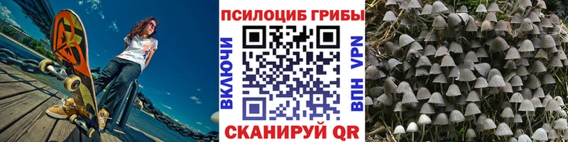 Галлюциногенные грибы мицелий  Междуреченск 